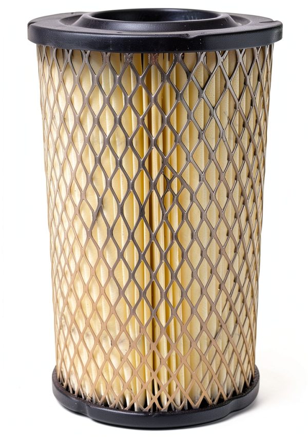 Killer Filter Air Cartridge Roberts Gordon 90707000 4.5x8in Pack 3-2
